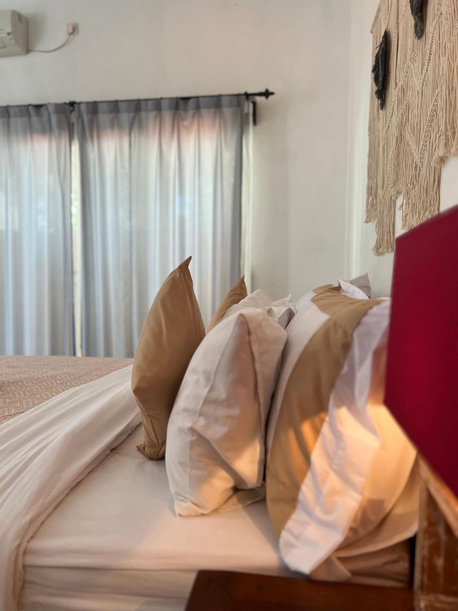 Grass Terrace Homestay Чангу Екстер'єр фото