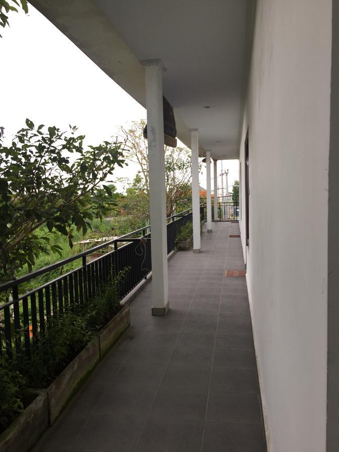 Grass Terrace Homestay Чангу Екстер'єр фото